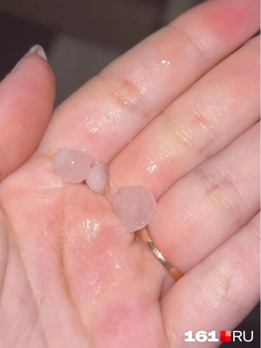 Источник: news161ru / t.me