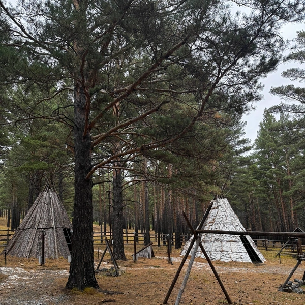 Источник: Пешком через Россию | Москва -> Владивосток / Telegram-канал