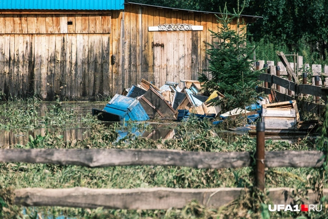 Поврежденные ульи | Источник: Булат Салихов / UFA1.RU