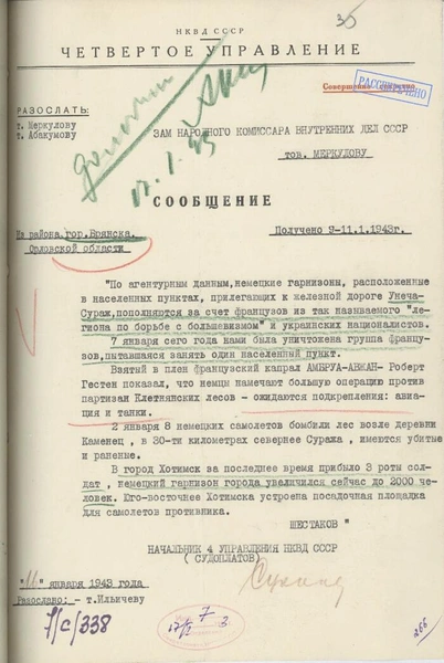 Рассекречен документ об уничтожении группы французов у Брянска в 1943 году: что рассказал пленный капрал? | Источник: Президентская библиотека