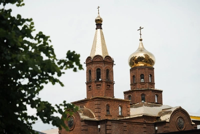 Why you shouldn’t mistreat cats on January 26