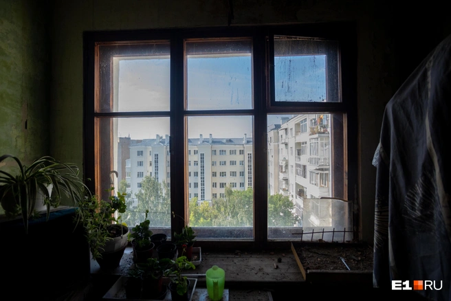 Первым делом нужно попытаться отыскать наследников, а если их нет — подавать иск к муниципалитету или администрации города | Источник: Владислав Лоншаков / E1.RU