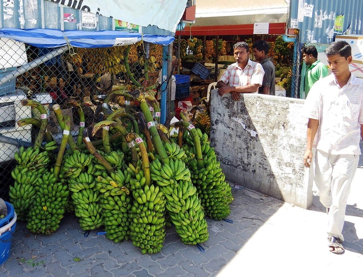 Мальдивские бананы на рынке | Источник: vivali, CC BY 3.0, via Wikimedia Commons