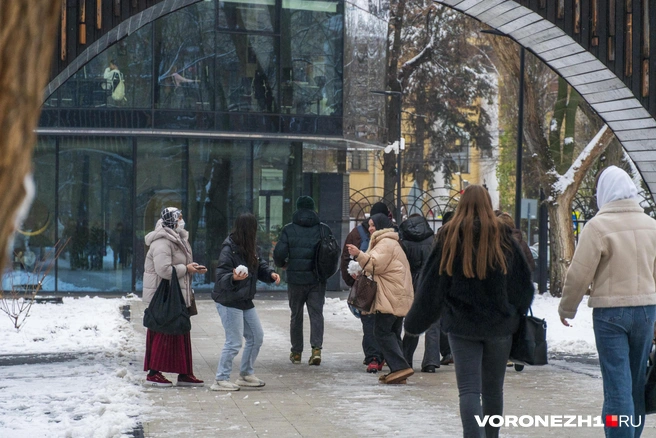 Источник: Дмитрий Волгин / Voronezh1.ru