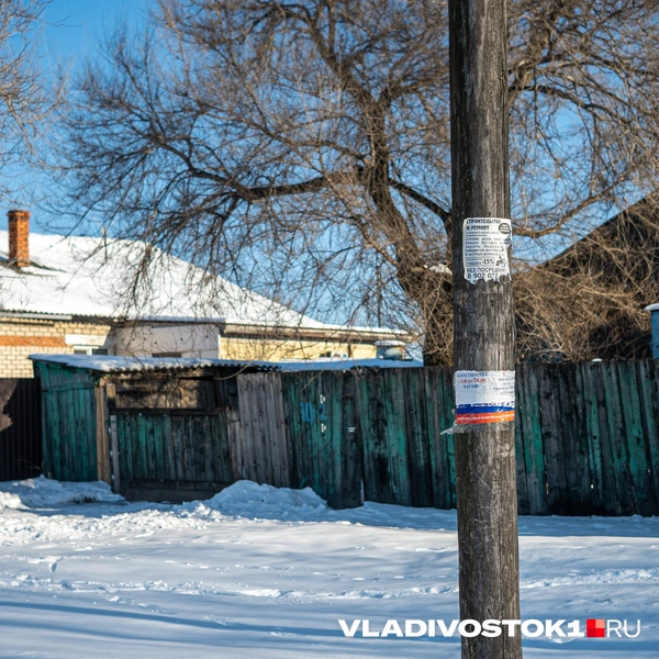 Источник: Елена Буйвол / VLADIVOSTOK1.RU