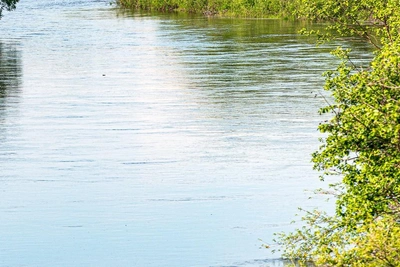 В Зауралье дорогу размыло из-за подъема воды в Исети