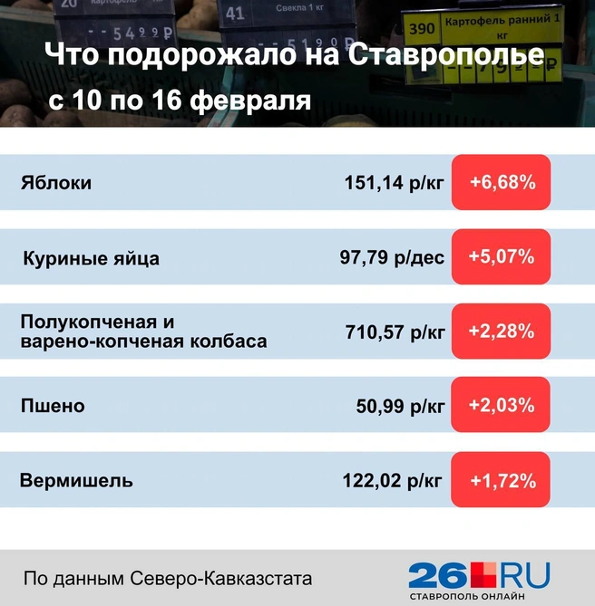 Статистика цен на продукты | Источник: Дарья Гранкина / 26.RU