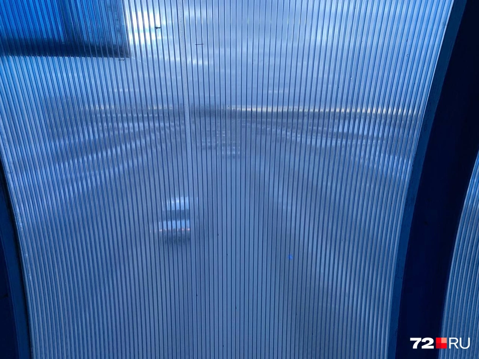 Источник: Никита Кифорук / 72.RU