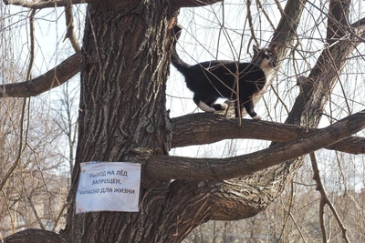 Холодный воздух с Финского залива накроет Петербург