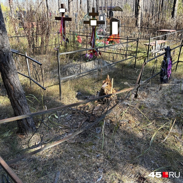 Источник: Кирилл Митин