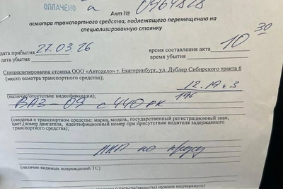 Водитель «девятки» признал дурость после парковки на Вайнера