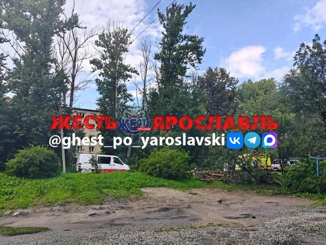 На место ЧП съехались службы | Источник: Жесть Ярославль / Max