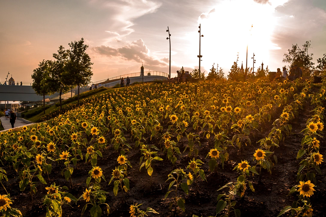 В парке «Зарядье» стартовала новая волна цветения | mcmaison.ru