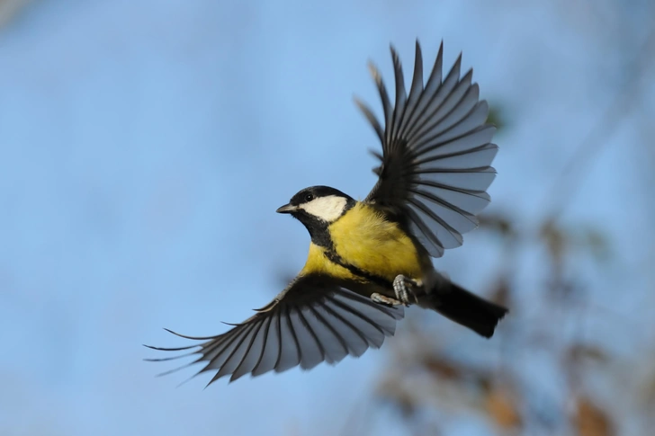 Источник: Victor Tyakht via Shutterstock/Fotodom.ru