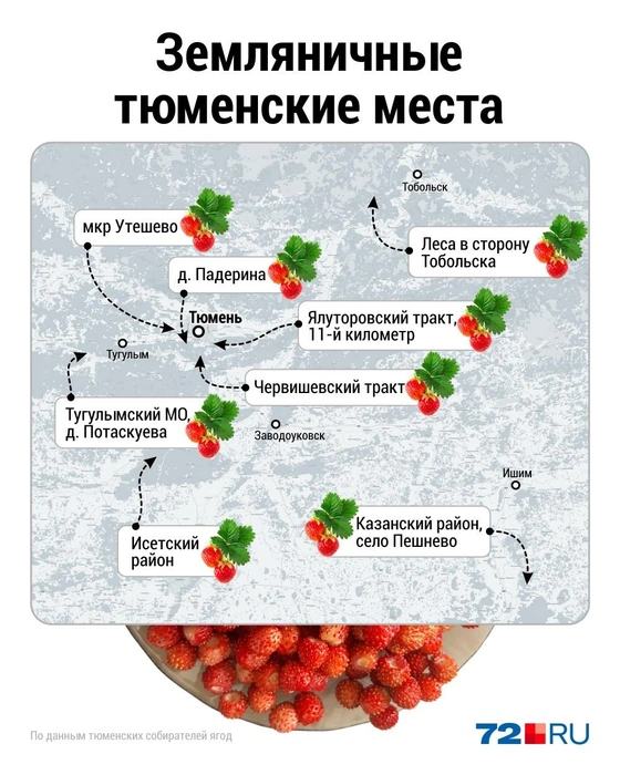 Источник: Дмитрий Гладышев / 72.RU