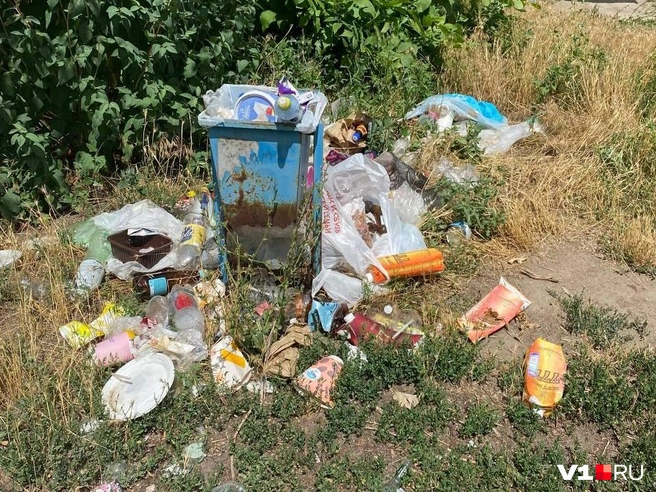 Территория вокруг мемориала, по словам граждан, регулярно убирается, в отличии от остального сквера | Источник: читатели V1.RU