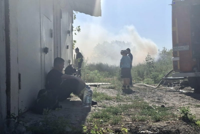 Пожар в овраге Волгограда локализован к 16:58