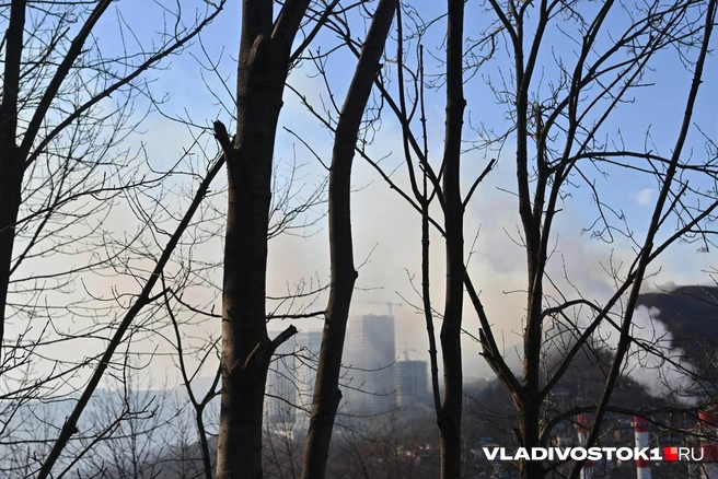 Пожарные выдвинулись на место горения | Источник: Елена Буйвол / VLADIVOSTOK1.RU