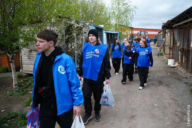 Источник: st.cherinfo.ru