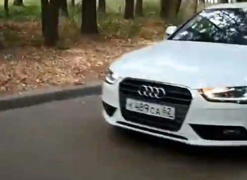 Стало известно, что делал автомобиль Audi на аллеях ЦПКиО | ya62.ru