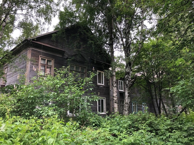 Источник: личный архив Даниила Коцюбинского