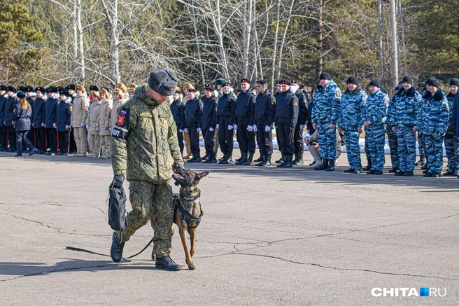 Ева ходит рядом | Источник: Олег Фёдоров / CHITA.RU