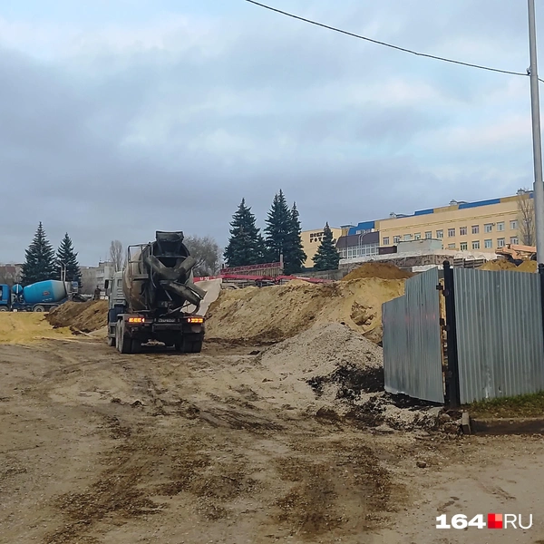 Источник: Сергей Гендин / 164.RU