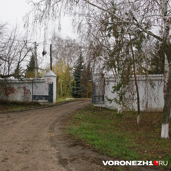 Источник: Александр Зинченко / Voronezh1.ru