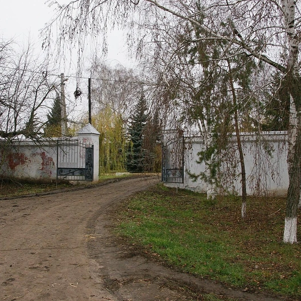 Источник: Александр Зинченко / Voronezh1.ru