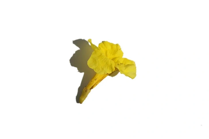 Женская хитрость: 7 правил, которые помогут избегать ссор с мужчиной | marieclaire.kz