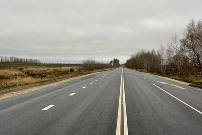 Дорогу Нижний Ломов – Наровчат отремонтировали по нацпроекту