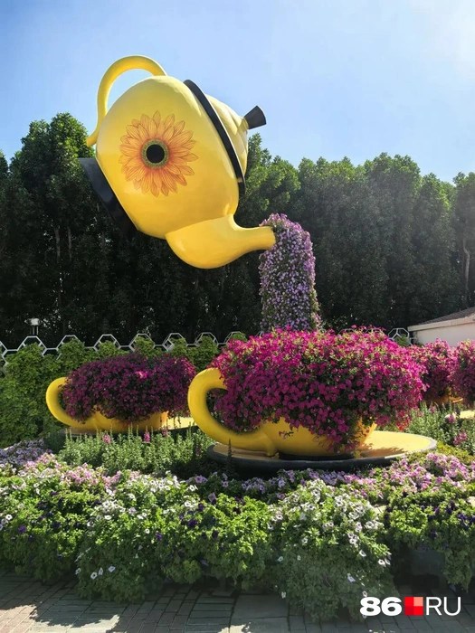 Ну разве не чудо? | Источник: Анастасия Шевякова / 86.RU