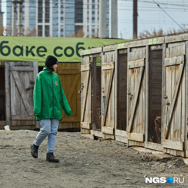 Сотрудники приюта — в основном студенты | Источник: Александр Ощепков / NGS.RU