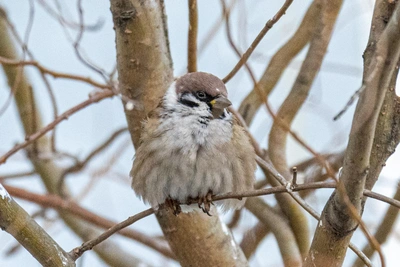Морозная зима в Приморье: прогноз с сильным ветром
