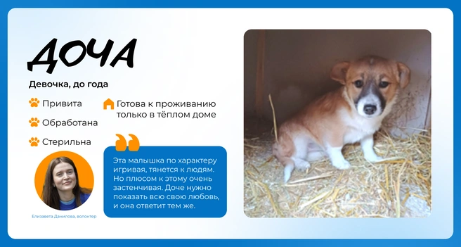 Источник: Василиса Молахова, Евгений Шаров