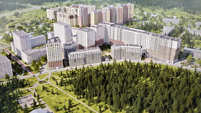 Главное достоинство локации&nbsp;— сосновый парк площадью 24 га с сетью дорожек и развитой спортивной инфраструктурой прямо напротив комплекса | Источник: «АТОМ»