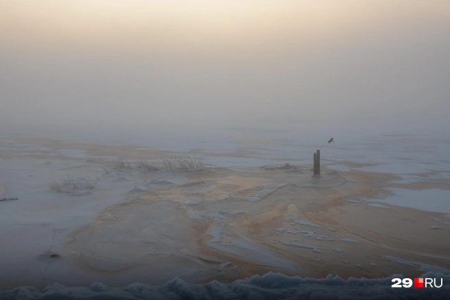 Источник: Иван Митюшёв / 29.RU