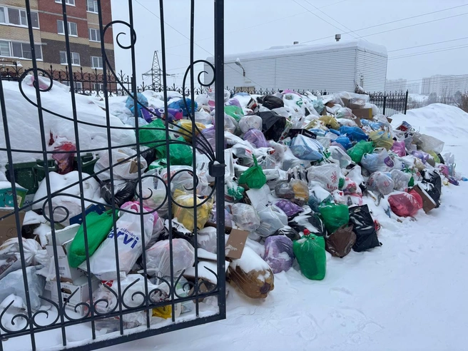 Выборная 99/8 | Источник: Читатели НГС