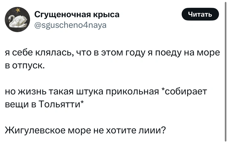 Источник: X (Twitter)