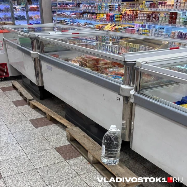 Источник: Елена Буйвол / VLADIVOSTOK1.RU