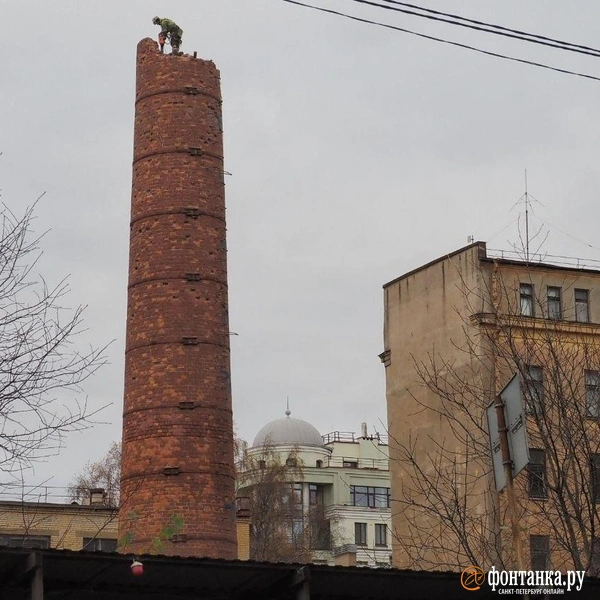 Источник: Михаил Огнев / FONTANKA.RU