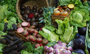 Свекла, капуста и еще 3 популярных овоща, которые могут навредить здоровью