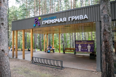 Медведь напугал жителей Академгородка
