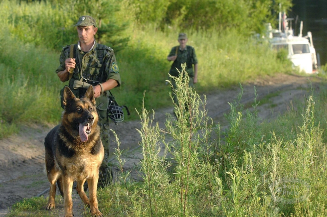 Источник: Евгений Епанчинцев