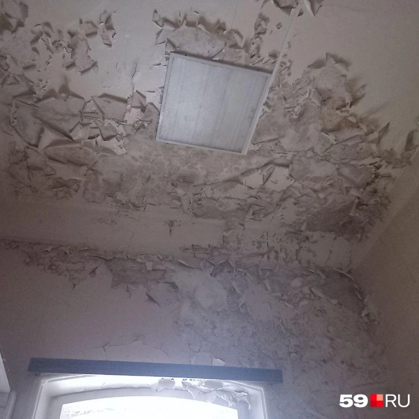 Краска с потолка местами осыпается | Источник: Ольга Якунчева / 59.RU