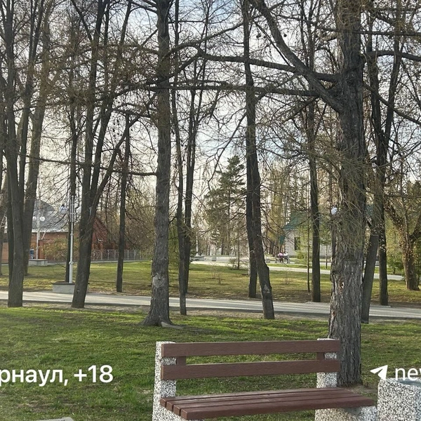 В Барнауле +18 градусов | Источник: Городские медиа