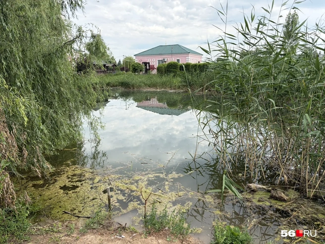 Вода из купели стекает в небольшое озеро, на котором любят отдыхать рыбаки | Источник: Николай Сальников / 56.RU