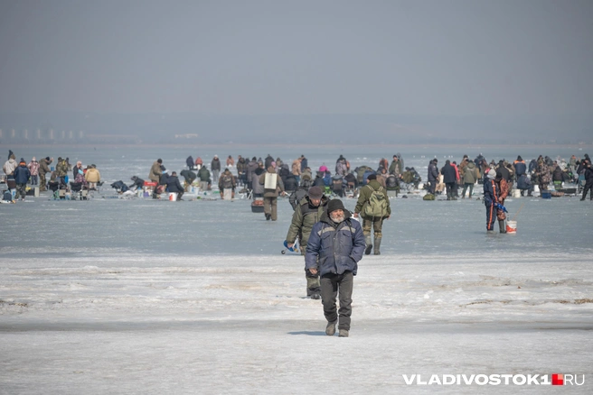 Источник: Елена Буйвол / VLADIVOSTOK1.RU