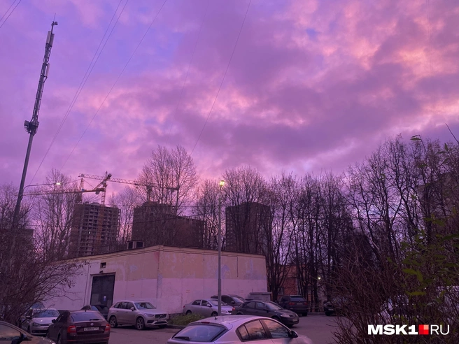 Москвичи заметили розовый рассвет | Источник: Читатель MSK1.RU