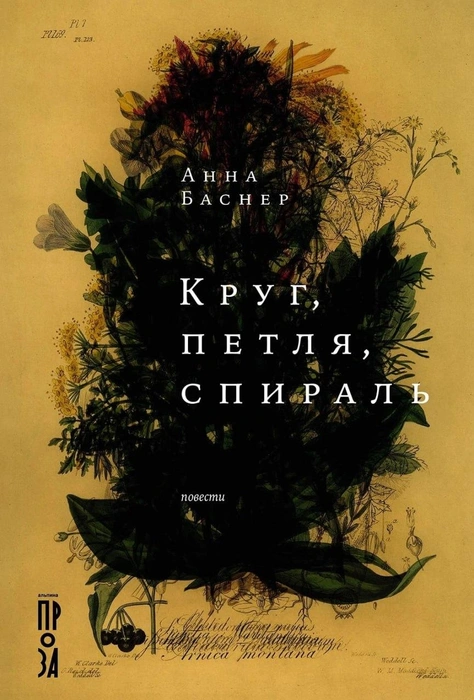 Источник: обложка книги